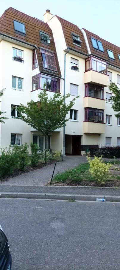 L'Acrobate Apartment Strasbourg Bagian luar foto